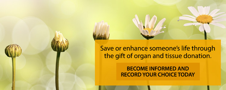 Register to be an organ and tissue donor. Save or enhance someone's life through transplantation. Become informed and record your decision today.